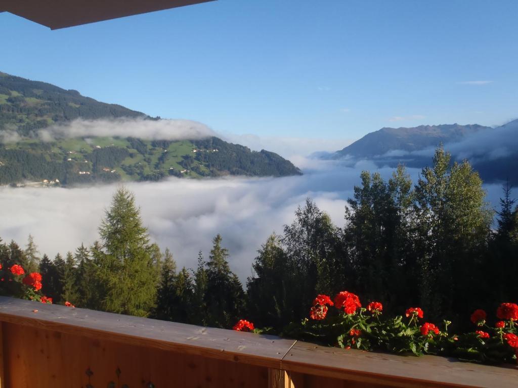 Landhaus Alpenjaeger Hainzenberg Pokoj fotografie